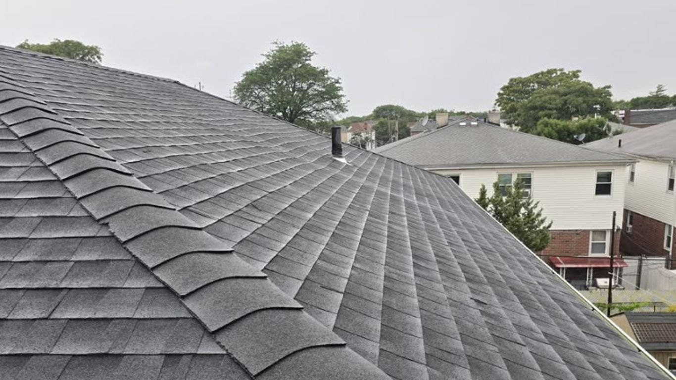 Shingle Roof
