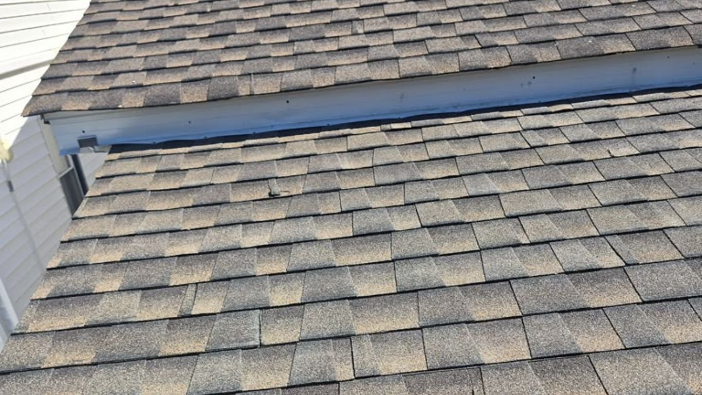 Shingle Roof